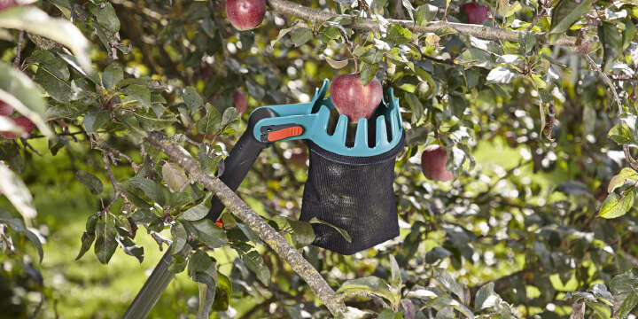 ernte helfer gardena apfel pfluecken 1000x500